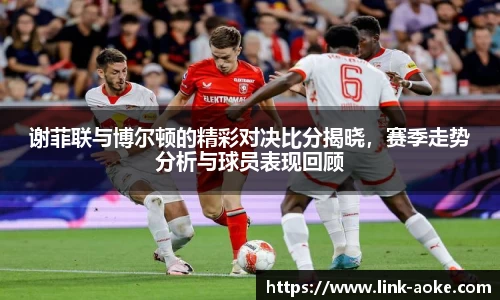 谢菲联与博尔顿的精彩对决比分揭晓，赛季走势分析与球员表现回顾