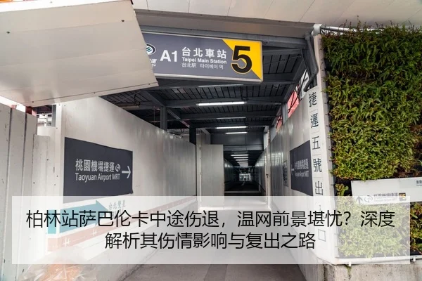 柏林站萨巴伦卡中途伤退，温网前景堪忧？深度解析其伤情影响与复出之路