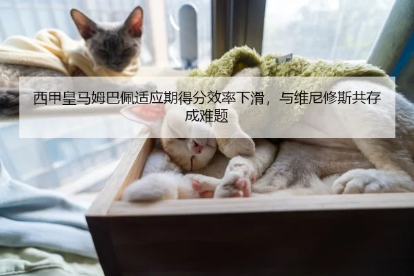 西甲皇马姆巴佩适应期得分效率下滑，与维尼修斯共存成难题