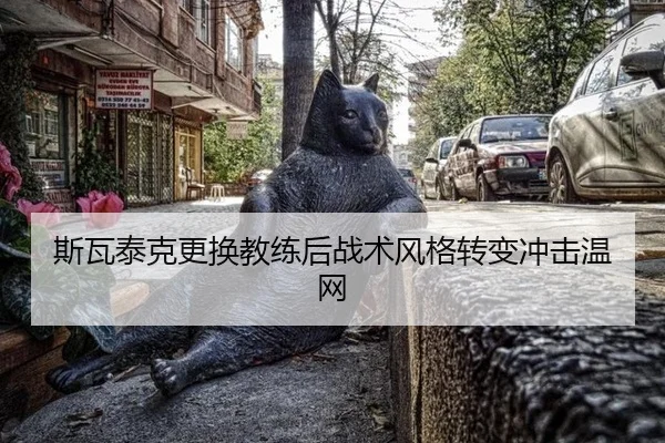 si-wa-tai-ke-geng-huan-jiao-lian-hou-zhan-shu-feng-ge-zhuan-bian-chong-ji-wen-wang-3-534.jpg
