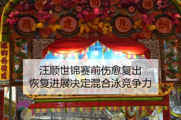 汪顺世锦赛前伤愈复出 恢复进展决定混合泳竞争力