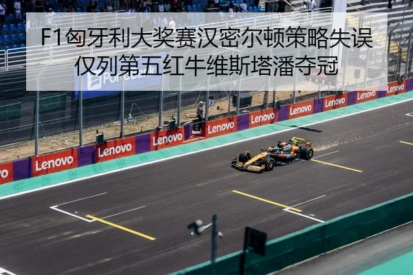 xiong-ya-li-da-jiang-sai-han-mi-er-dun-ce-lve-shi-wu-jin-lie-di-wu-hong-niu-wei-si-ta-pan-duo-guan-3-795.jpg
