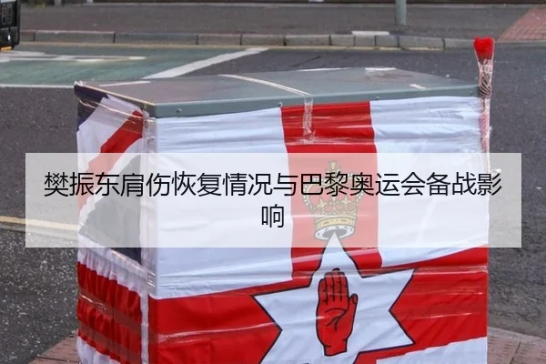 樊振东肩伤恢复情况与巴黎奥运会备战影响