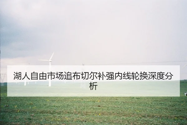 湖人自由市场追布切尔补强内线轮换深度分析